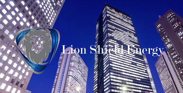 URS Unlimited Relocation Services Houston Web Page Preview